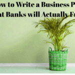 How_to_Write_a_Business_Plan_That_Banks_and_Investors_in_Nigeria_Will_Actually_Fund.